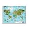 Stupell Industries Kid's Animal World Map Favorite Regional Wildlife in White Frame Wall Art
